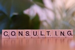 digital marketing consultant